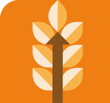 Mejores Perfiles Nutrimentales