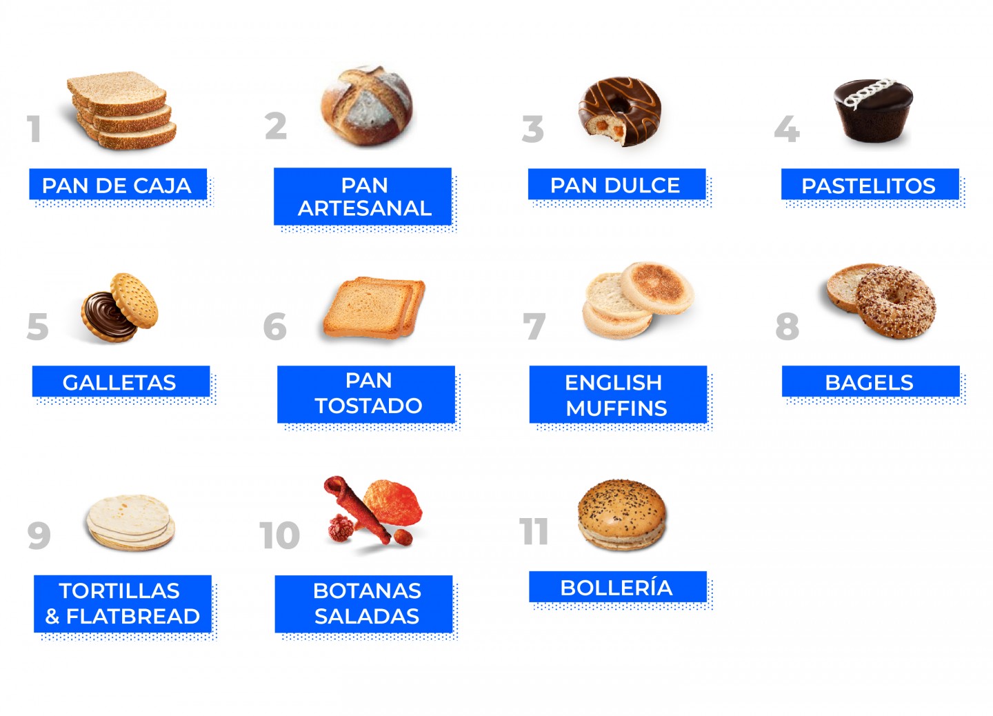 Nuestras categorías y productos