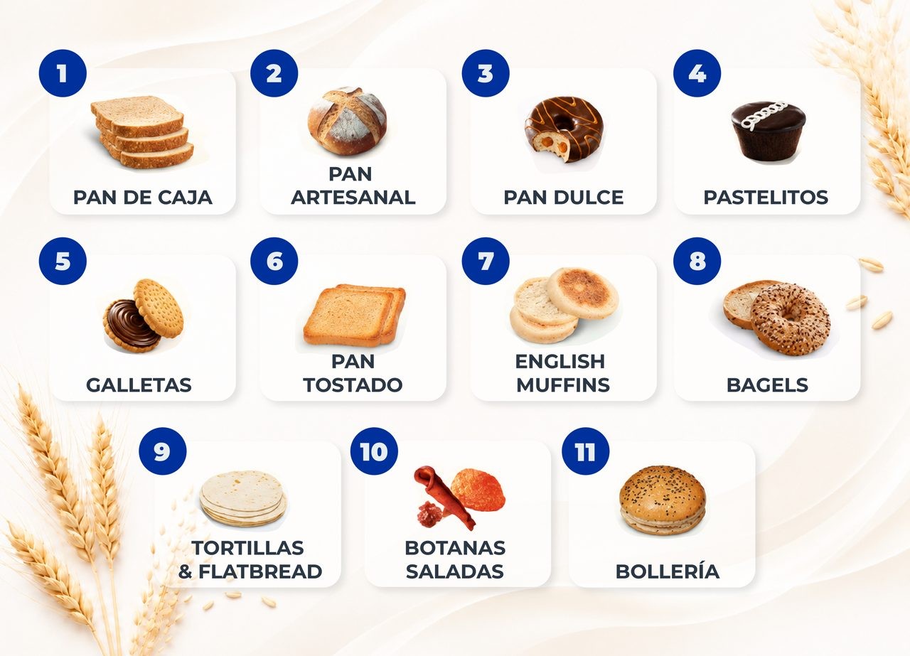 Nuestras categorías y productos