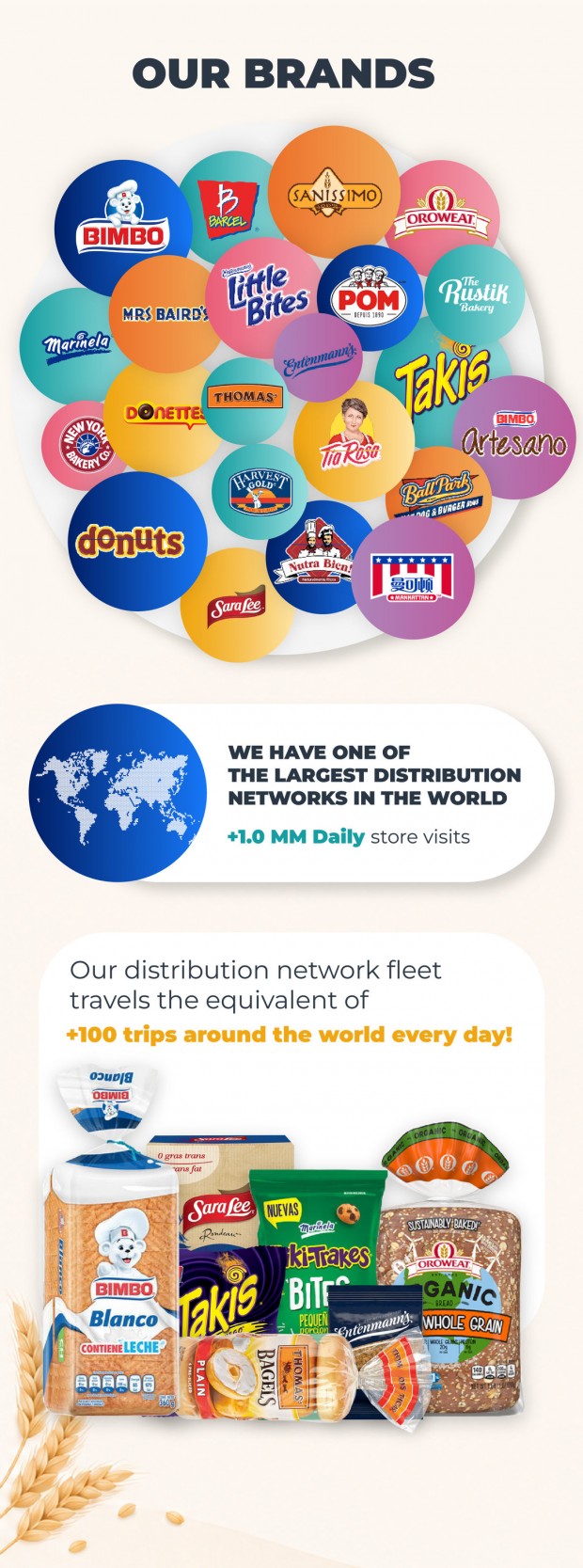 Why Invest In Bimbo