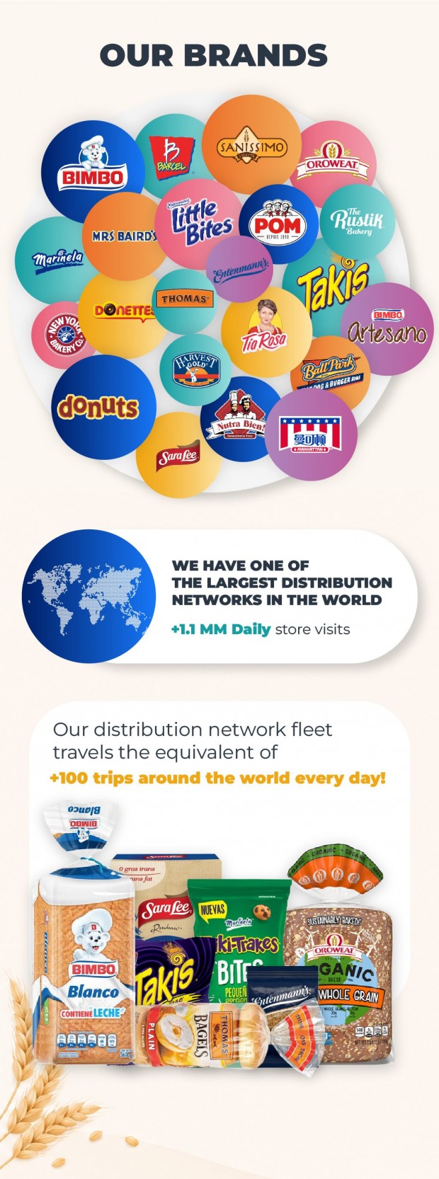 Why Invest In Bimbo