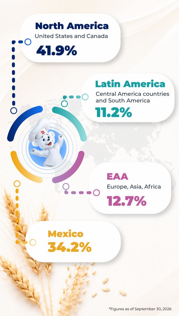 Sales by geographic region