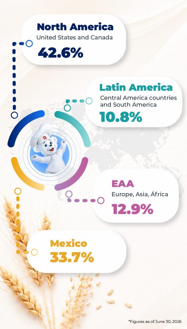 Sales by geographic region