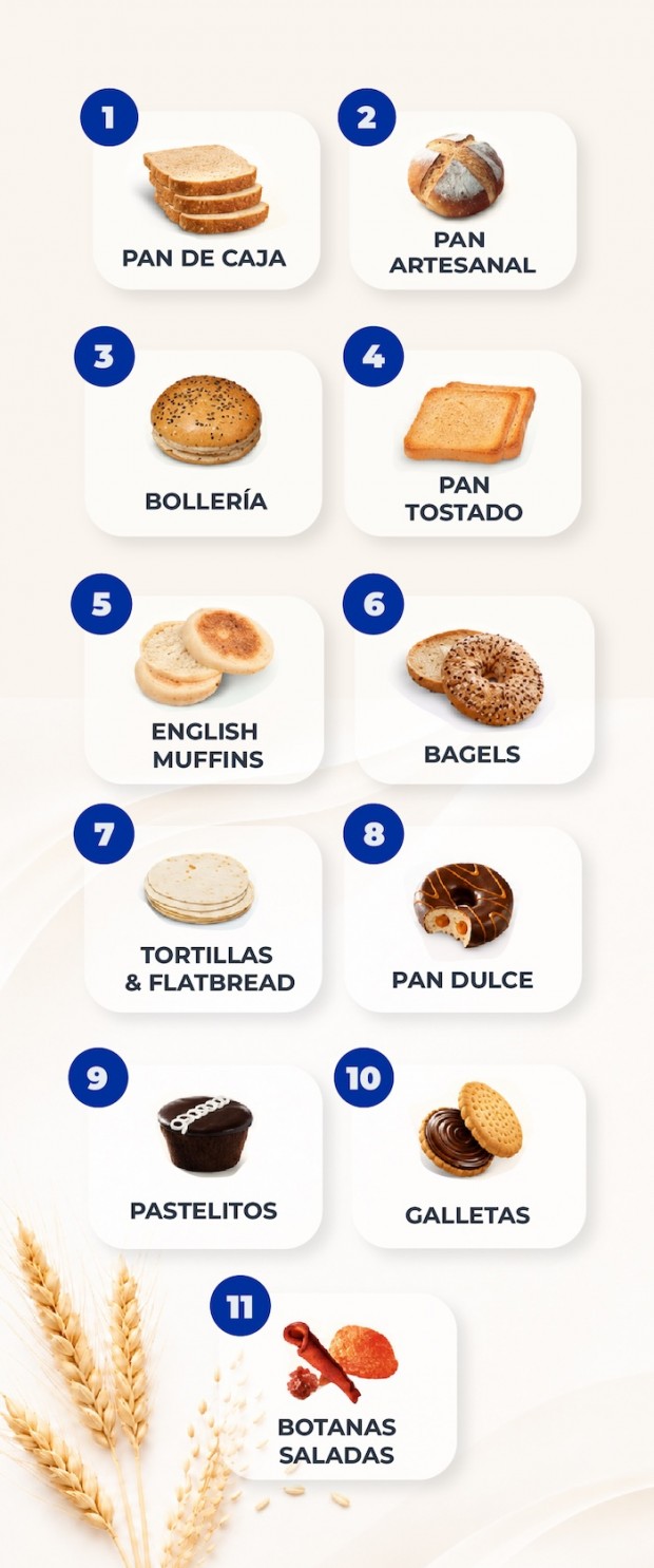 Nuestras categorías y productos