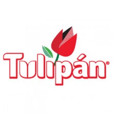Tulipán