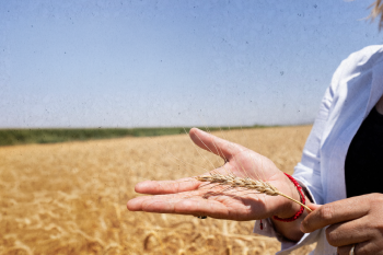 Grupo Bimbo reports 73% growth in Regenerative Agriculture